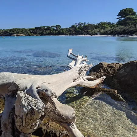 아파트 Avec Jardin, Clim & Piscine - Proche Plages Et Randos, Parking Prive - La Girelle *