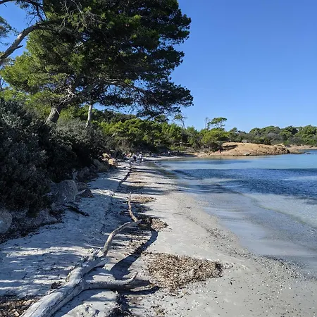 Apartment Avec Jardin, Clim & Piscine - Proche Plages Et Randos, Parking Prive - La Girelle Hyeres