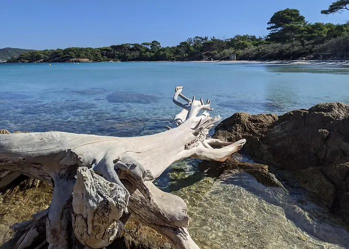 Lägenhet Avec Jardin, Clim & Piscine - Proche Plages Et Randos, Parking Prive - La Girelle *
